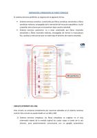 20. Inervación e Irrigación de Torax.pdf