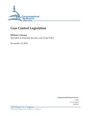 USA Gun control.pdf