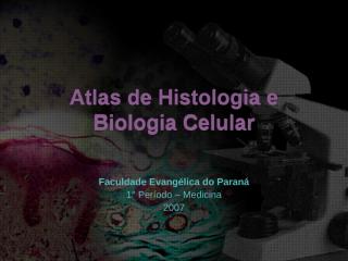atlas de histologia e biologia celular.ppt